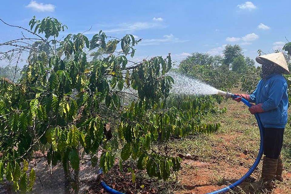 Nông dân chống chọi thời tiết