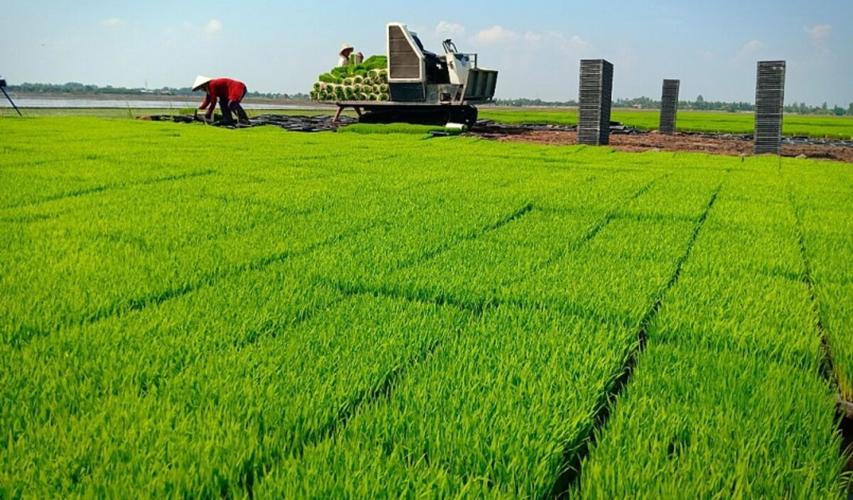 Nông nghiệp và công nghiệp Long An