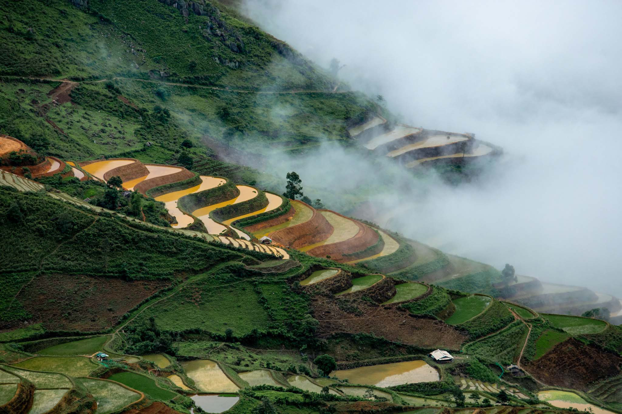 Ruộng bậc thang Tà Xùa mùa nước đổ