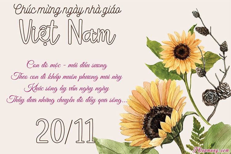 Tri ân thầy cô ngày 20/11