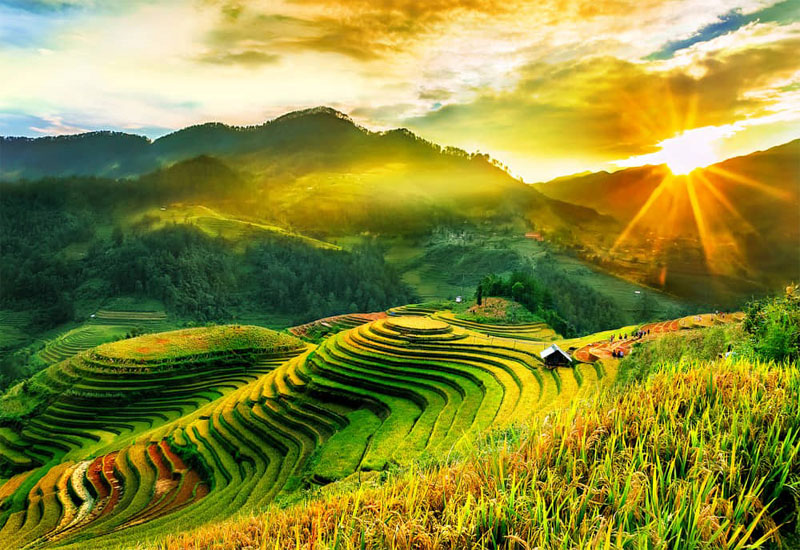 Ruộng bậc thang mùa lúa chín