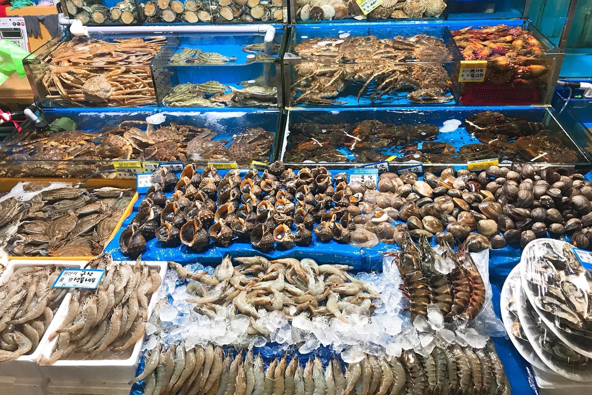Chợ hải sản Bến Đoan
