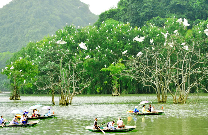 Mua vé tham quan Thung Nham