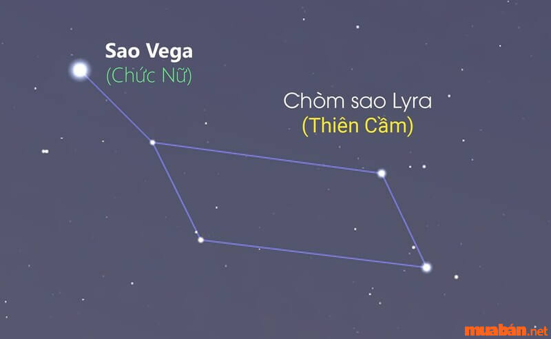 Sao Ngưu Lang và Chức Nữ