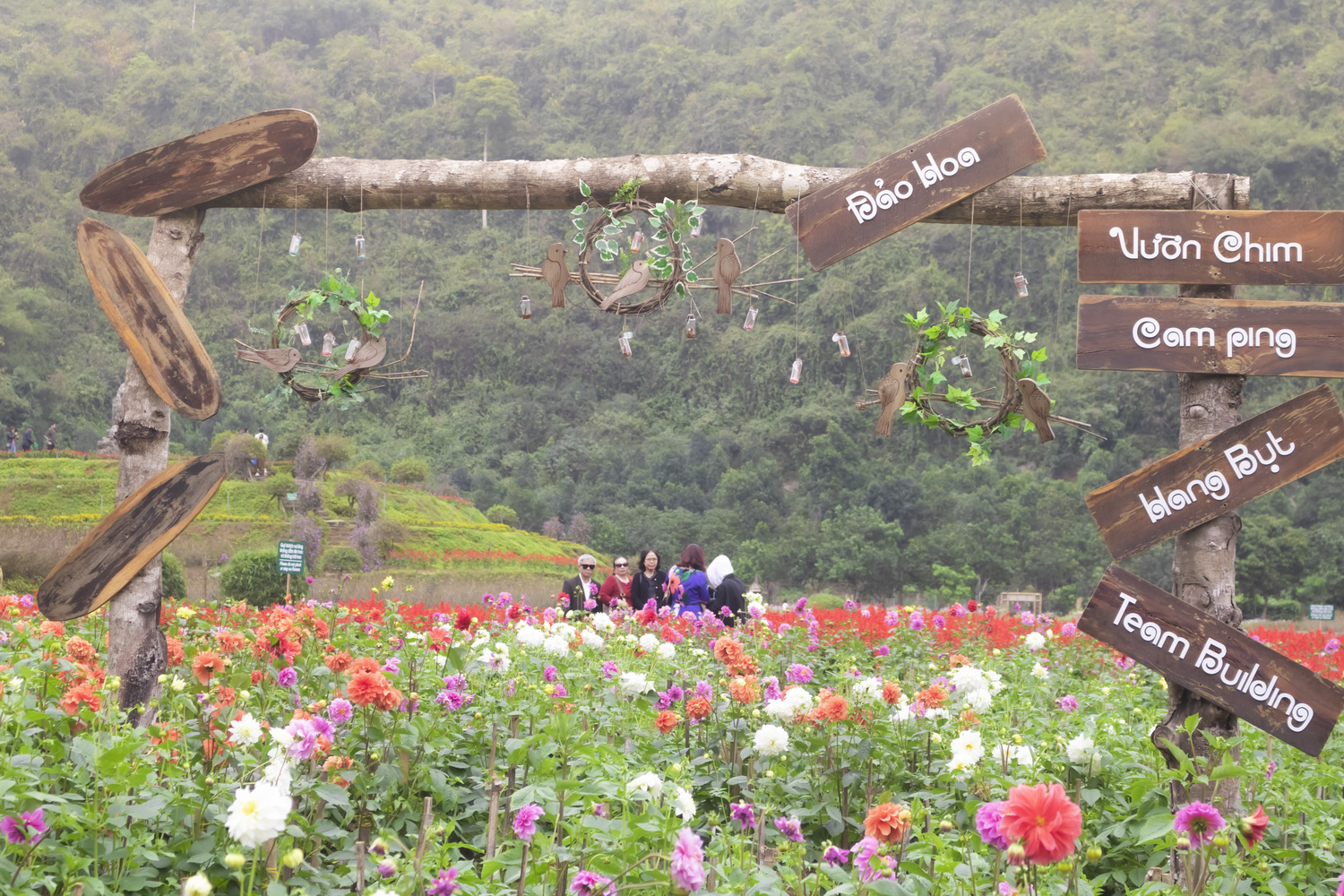 Thung lũng hoa Thung Nham